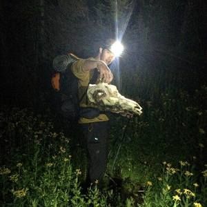 Meet your Posher, Mike